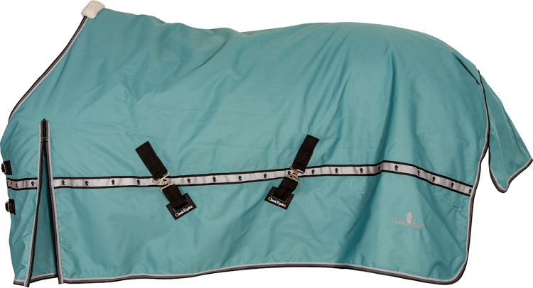 Turquoise 10k Horse Blanket