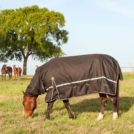 5K Hooded horse blanket