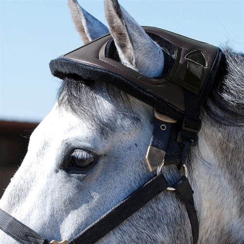 Horse Helmet