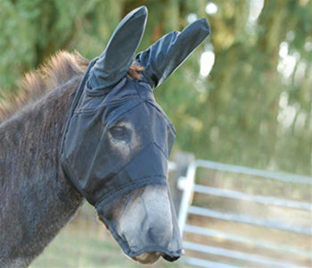 Quite Ride Fly mask long nose with mule ears