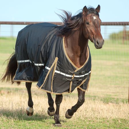 5K Cross Trainer Blanket