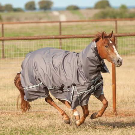 Hooded 5K Cross Trainer Blanket