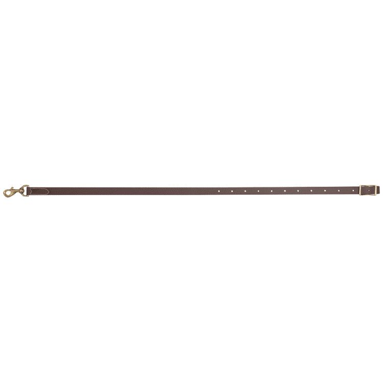 Biothane Tie Down Strap