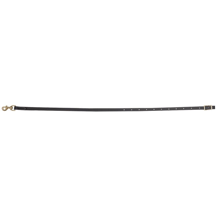 Biothane Tie Down Strap 1"