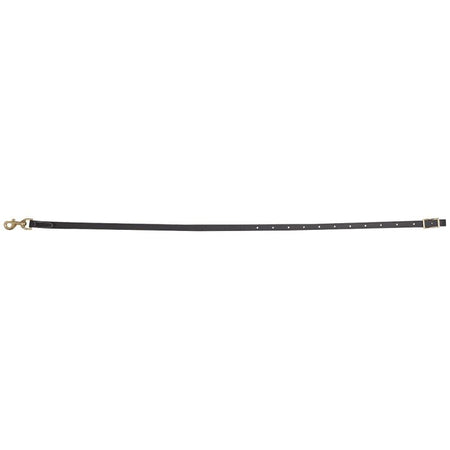Biothane Tie Down Strap 1"