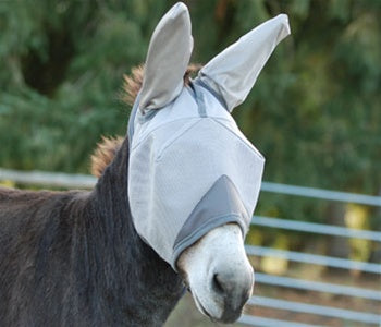 Fly Mask standard with mule ears