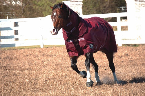 Rambo Quarter Horse Heavy 370g Waterproof Turnout Blanket