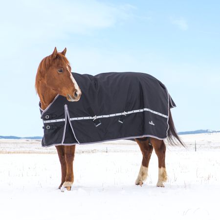 Classic Equine 10K Winter Horse Blanket
