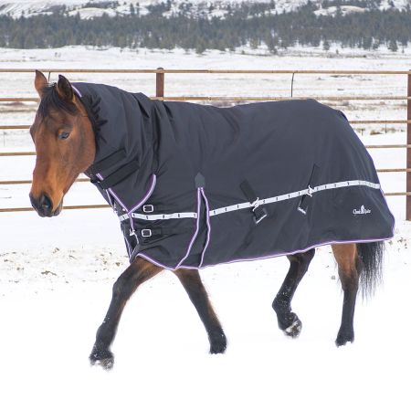Black Hooded 10k Winter Horse Blanket