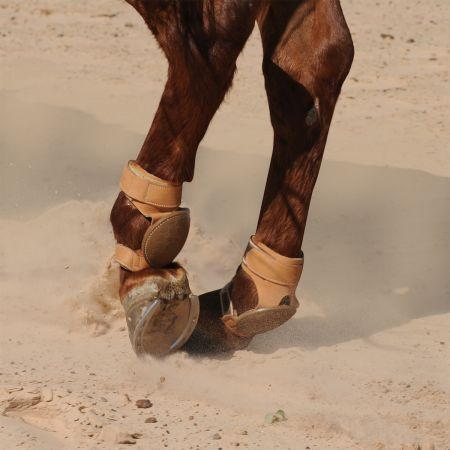 Pro Reiner Skid Boots on horse