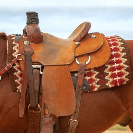 Sensorflex Saddle Pad on horse